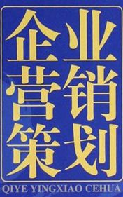 2024年度企業營銷策劃方案